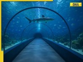 India set to unveil its first longest underwater tunnel in Brahmaputra River