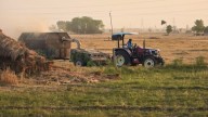 At less than 6%, paddy procurement remains abysmally low in Punjab
