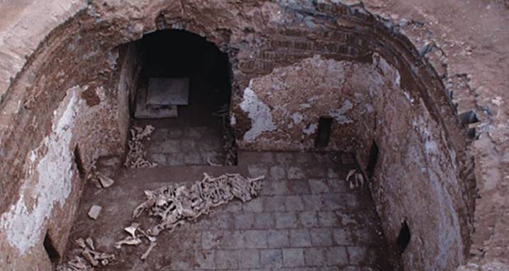 Polo-Playing Chinese Noblewoman Found Buried With Donkeys