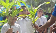 Mega Jornada de Reforestación sembró más de 2 mil árboles en Diego Ibarra