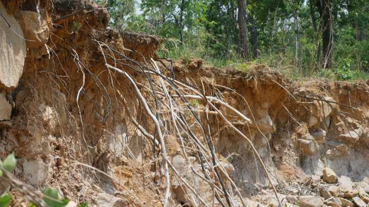 Erosión del suelo: Un desafío agrícola y la estrategia para combatirla