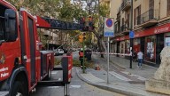 Las fuertes rachas de viento derriban ramas y obligan a cortar el tráfico en el centro de Palma