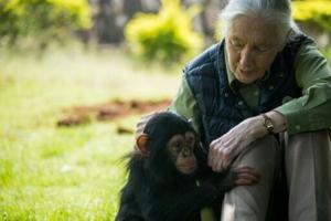Jane Goodall’s final wish: blast Trump, Musk and Putin to space