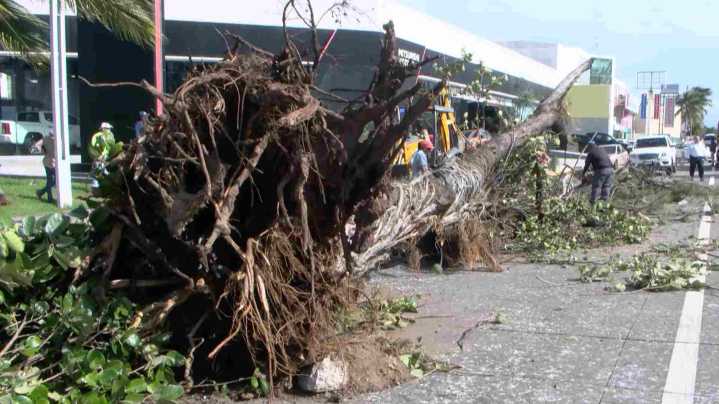 ¿Cuales Fueron las Afectaciones que Dejó el Frente Frío 11 en Veracruz? PC Informa