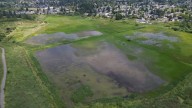 Saanich moves forward with ‘renewed vision’ for Panama Flats