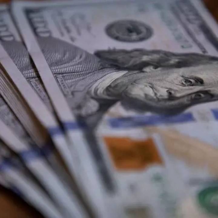 Fracaso de Caputo y Milei: el Gobierno compró solo un tercio de la liquidación del Agro por retenciones cero