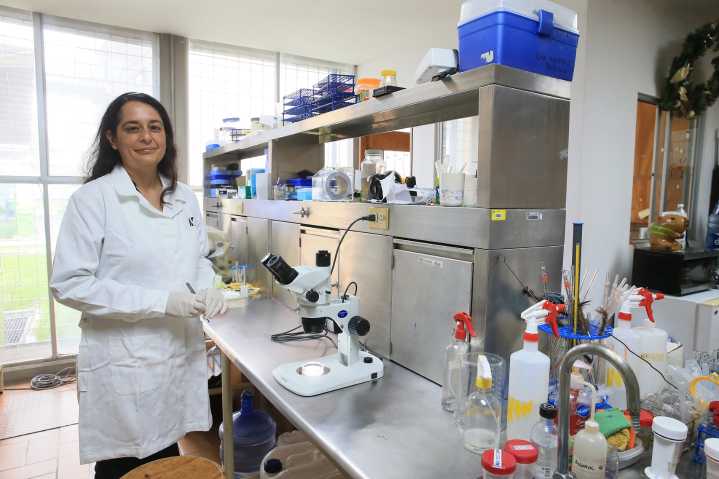 Gusano barrenador en ave no representa riesgo de alerta: UAM