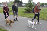 Parvovirus outbreak shutters Aroostook dog parks