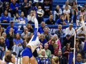 Experienced, versatile Anthony Wayne volleyball team looks to peak in tournament