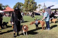 Dogs celebrate spooky season at Paws in the Park in North Las Vegas