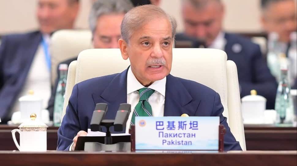 'Ball Is In Their Court': PM Shehbaz Says Pakistan Open To Talks If Afghanistan Meets Conditions