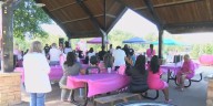 Capaha Park scene of 5th annual breast cancer awareness event