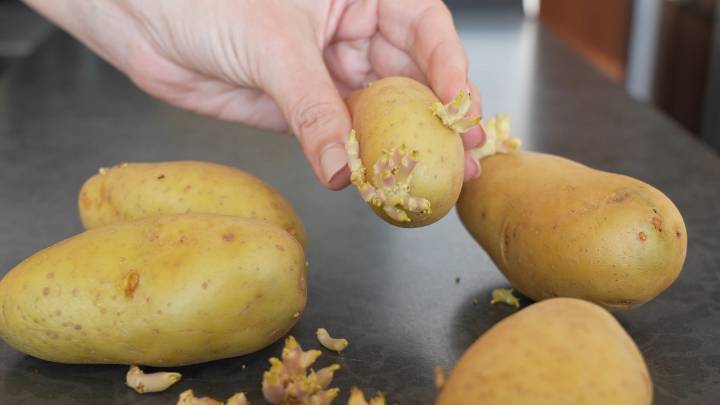 ¡Cuidado al cocinar! 5 alimentos diarios con toxinas naturales