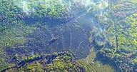Benzie Road Fire 100% contained; crews still putting out hot spots