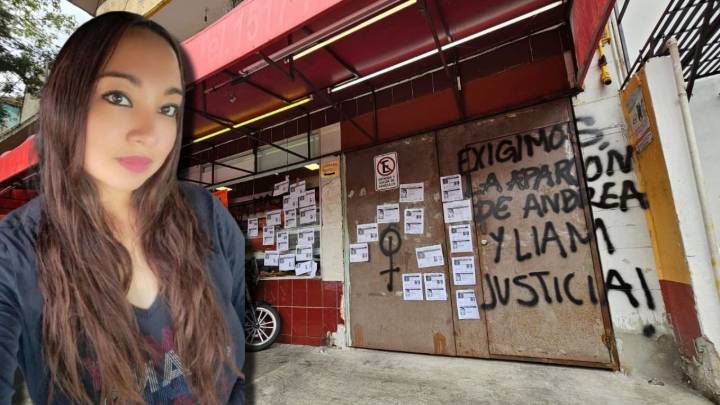 Andrea fue internada a la fuerza en una clínica psiquiátrica y su bebé de ocho meses está retenido por su padre