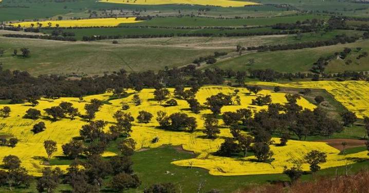 Farmland value in reverse as economy tightens