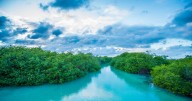 Maya Ka’an, el corazón místico del Caribe Mexicano