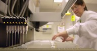 Fertility fraud: DNA test solves a medical mystery