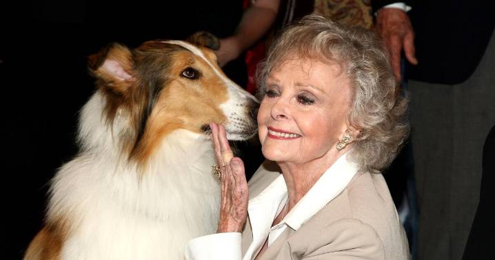 Appreciation: Strong and warm, June Lockhart was a model of TV motherhood