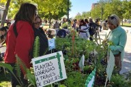La Feria de la Agricultura Urbana Neuquina celebró una nueva edición con gran participación