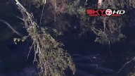 Massive tree falls on house in Peabody