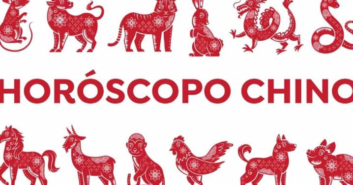 Los animales del horóscopo chino que deberán evitar conflictos en octubre de 2025 