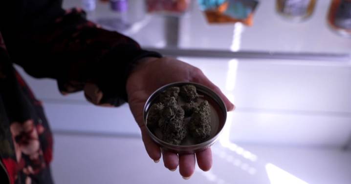 'Curve' in the industry: Gatesville business owner hopes to change how THC is viewed