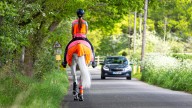 Do horse riders need hi-vis? What to wear and why it matters