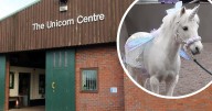 Middlesbrough's Unicorn Centre announces closure 'with heartfelt sadness' over 'financial pressures'