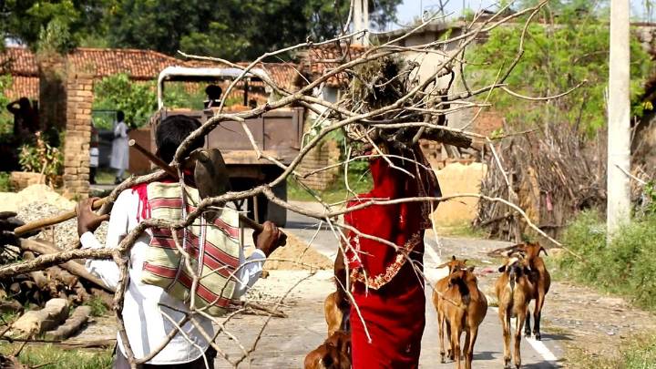 High Court upholds cancellation of forest rights of Chhattisgarh villagers