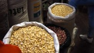 Promueve Salamanca acercamiento entre productores de maíz y grupo Millfoods