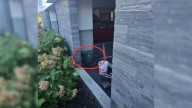 New York Guard Investigates Lobster Trap In Parking Lot And Finds A Totally Unexpected Guest