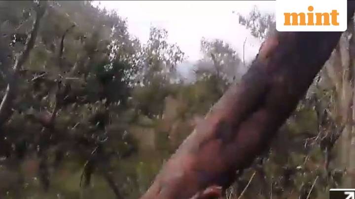 Two high-ranking Pak army officers among 11 killed in anti