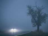 10/11/25: Foggy Dawn at 51°F, Clearing to 76°F Today with No Rain