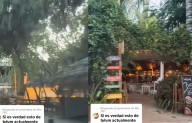 ¿Qué está pasando en Tulum? Calles y negocios lucen vacíos
