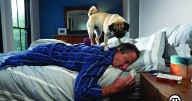Life Doesn’t Pause When You’re Sick; Get Vaccinated This Fall
