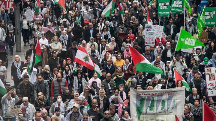 Palestine Action Group pushes ahead with Gaza protest despite ceasefire, shadow attorney
