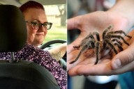 Couple Leaves Tarantula in Lyft Driver's Car After Halloween Party (Exclusive)