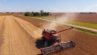 Iowa farmers face low commodity price as they head into 2025 harvest