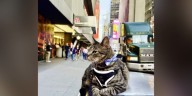 Family’s cat joins their vacation after riding 100 miles on van’s roof