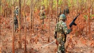 103 Maoists Surrender in Chhattisgarh, Receive Rs 50,000 Each Under Rehabilitation Scheme
