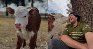 Gastón Britos, el veterinario influencer que conquistó las redes junto a una ternerita rescatada