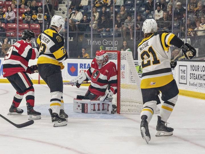 Brantford Bulldogs beat Ottawa 67's, climb to top of standings