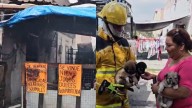 Flamazo de Tanque de Gas Deja una Mujer Lesionada y Cinco Perros Rescatados en Juárez, NL