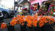 Comenzaron a llegar las flores para los muertos a la calle Quinta de la Zona Centro