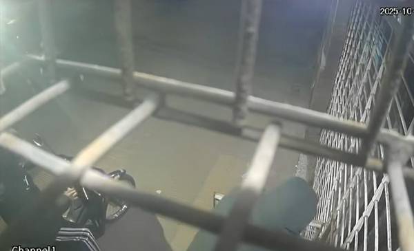 VIDEO. Ataque express a un comercio en La Plata: dos "falsos repartidores" huyeron con una caja fuerte