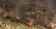 Deaths reported after blast at US army explosives plant