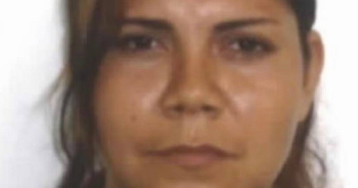 Bean stew 'serial killer' tested deadly poison on dogs before feeding pensioner