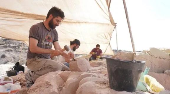 El Conicet transmite en vivo la búsqueda de fósiles de dinosaurios en la Patagonia