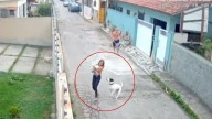 Captan brutal ataque de perro grande contra joven que paseaba a su pequeña mascota, le mordió la cabeza
